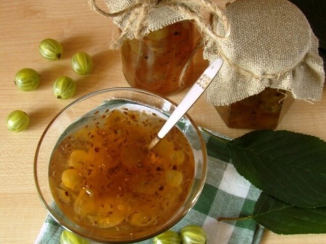 Gooseberry Jam Photo 1 Gooseberry Jam Photo 1