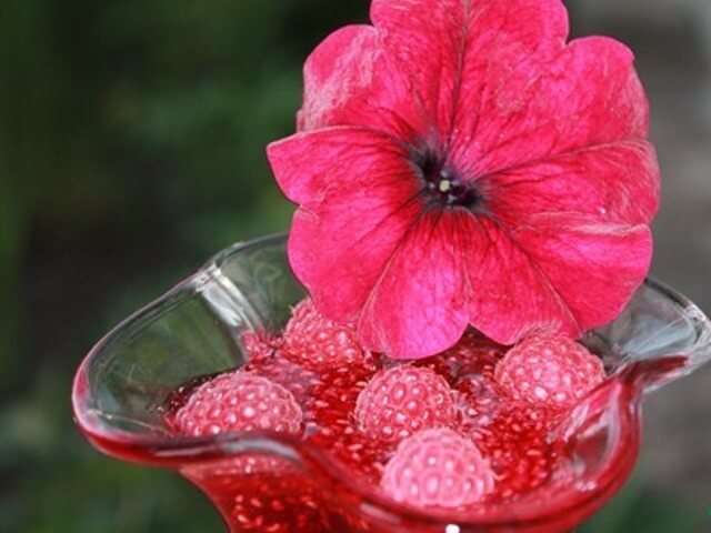 Raspberry Jelly Photo 1 Raspberry Jelly Photo 1
