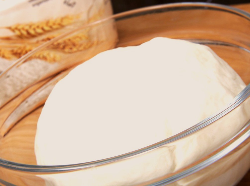 The Best Pizza Dough Photo 1 The Best Pizza Dough Photo 1