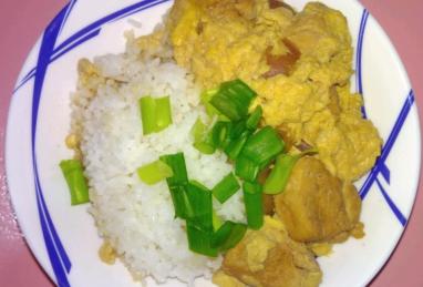 Oyakodon (Japanese Chicken and Egg Rice Bowl) Photo 1