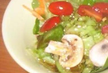 Japanese Ginger Salad Dressing Photo 1