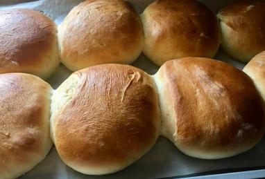 Homemade Hamburger Buns Photo 1