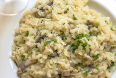 Mushroom Risotto With Creamy Sauce Photo 1