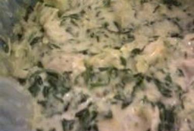 Justine's Artichoke Chicken Spinach Dip Photo 1