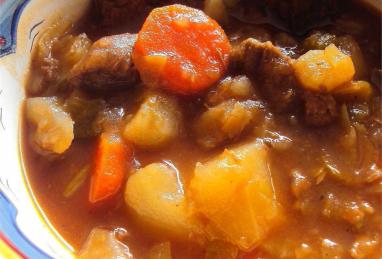 Beef and Cabbage Stew Photo 1