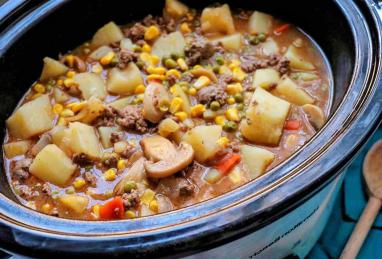 Slow Cooker Ground Beef Stew Photo 1