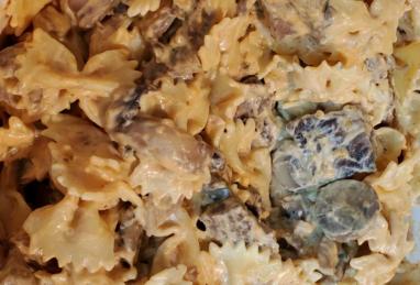 Cream Cheese Steak Stroganoff Photo 1