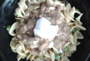 Super Easy Ground Beef Stroganoff Photo 1