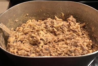 Show-Off Stroganoff Photo 1