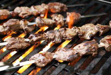 Persian Shish Kabob Photo 1