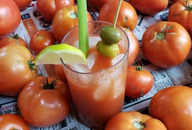 Ripley's Bloody Mary Mix for Canning Photo 1