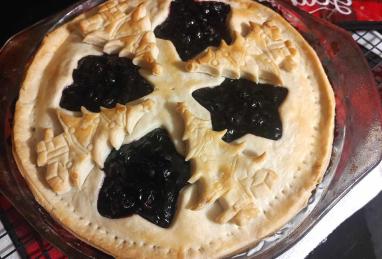 Blueberry Pie with Frozen Berries Photo 1