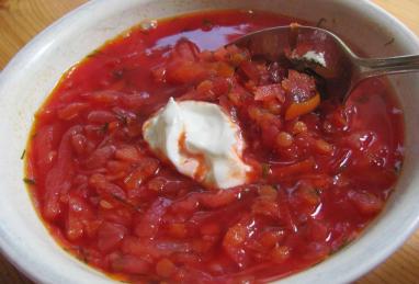 Vegetarian Borscht Photo 1