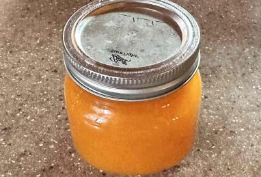 Apricot Jam Photo 1