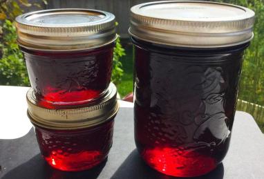 Crab Apple Jelly Photo 1