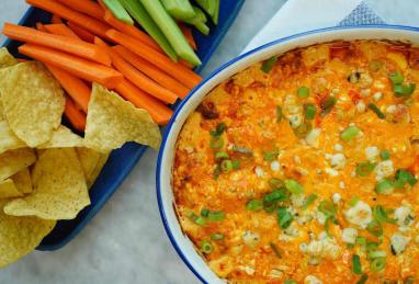 The Best Buffalo Chicken Dip Photo 1