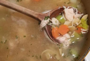 Sensational Chicken Noodle Soup Photo 1