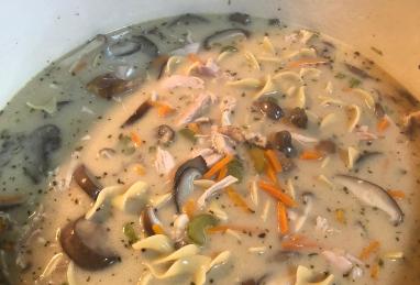 Creamy Chicken Egg Noodle Soup Photo 1