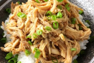 Slow Cooker Teriyaki Pulled Chicken Photo 1