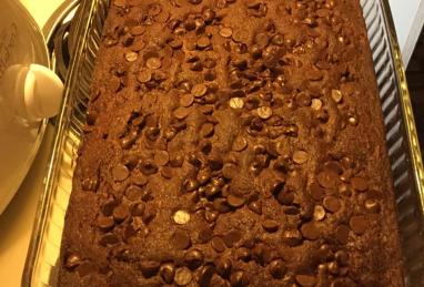 Zucchini Chocolate Chip Cake Photo 1