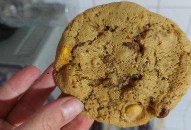 Ultimate High-Altitude Chocolate Chip Cookies Photo 1