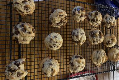 Yogurt Chocolate Chip Cookies Photo 1