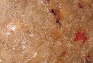 Plum Kuchen Photo 1