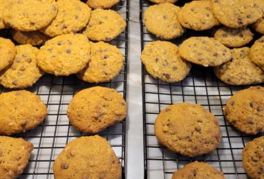 Pumpkin Oatmeal Chocolate Chip Cookies Photo 1