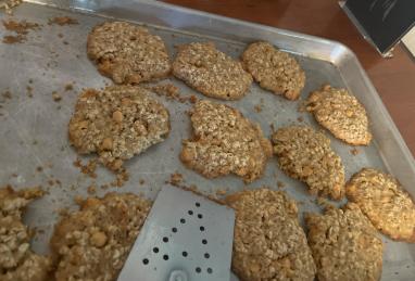 Oatmeal Butterscotch Cookies Photo 1