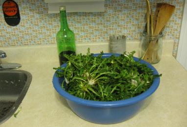 Dandelion Salad Photo 1