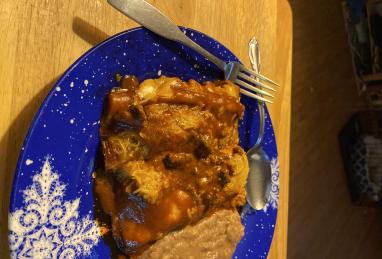 Beef Enchiladas with Flour Tortillas Photo 1