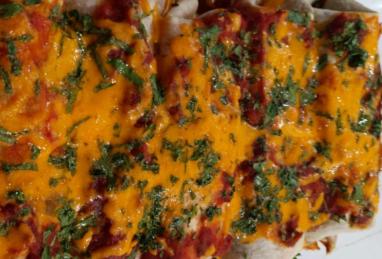 Black Bean and Rice Enchiladas Photo 1