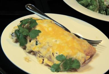 Chicken Enchiladas with Green Chile Sauce (Salsa Verde) Photo 1