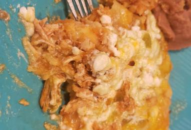 Cottage Cheese Chicken Enchiladas Photo 1