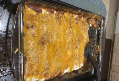 Ground Chicken Enchiladas Photo 1