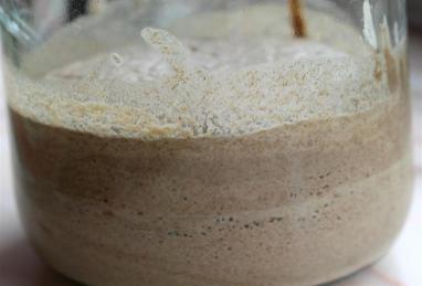 Injera (Ethiopian Teff Bread) Photo 1