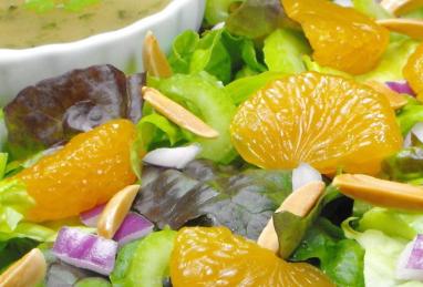 Betsy's Mandarin Orange Salad Photo 1