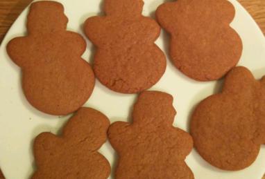 Gingerbread Cookie Mix in a Jar Photo 1