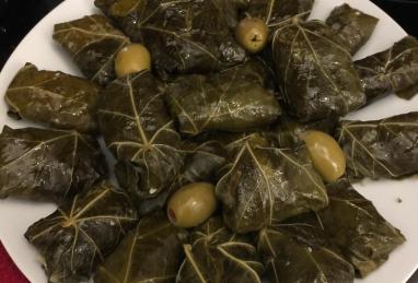 Grape Leaves Aleppo Photo 1