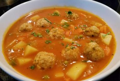 Turkey Meatball Stew Photo 1