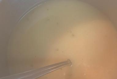 Homemade Turkey Gravy Photo 1