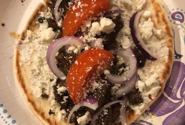 Venison Gyros Photo 1