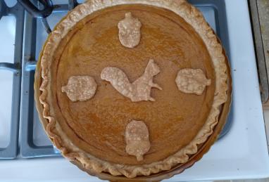 Homemade Fresh Pumpkin Pie Photo 1