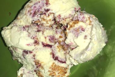 Blueberry Cheesecake Ice Cream Photo 1