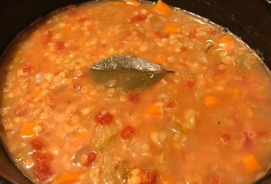 French Lentil Soup Photo 1