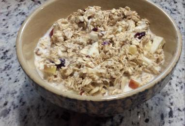 Bircher Muesli (Swiss Oatmeal) Photo 1