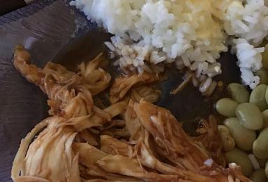 Slow Cooker Barbeque Chicken Photo 1