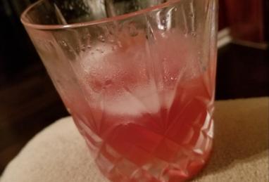 Sloe Gin Fizz Cocktail Photo 1