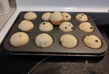 Chocolate Chip Mini Muffins Photo 1