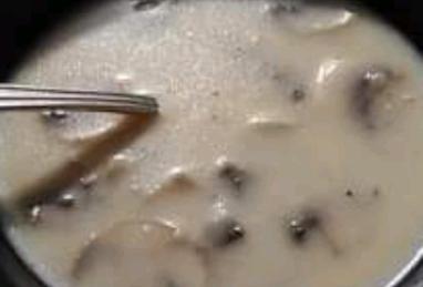 Cream of Mushroom Soup III Photo 1